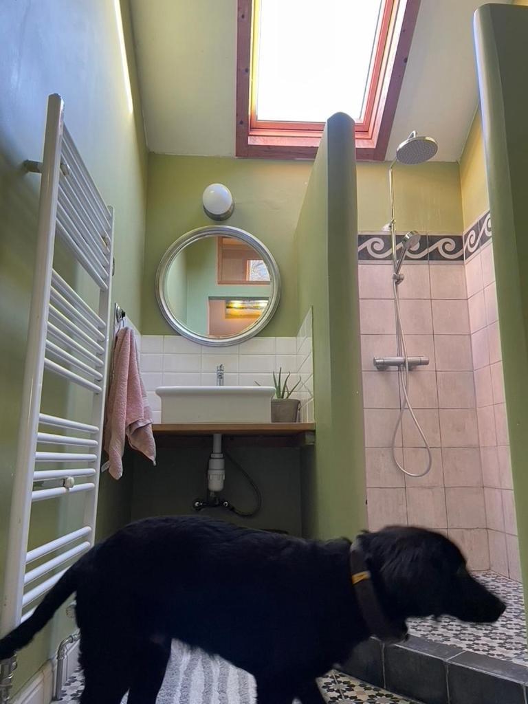 La Bruyere Du Coq Stables Guest House Sart-Dames-Avelines Bagian luar foto
