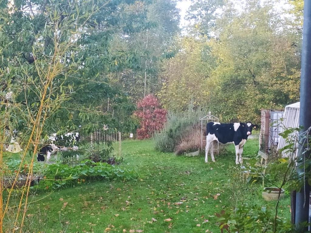 La Bruyere Du Coq Stables Guest House Sart-Dames-Avelines Bagian luar foto